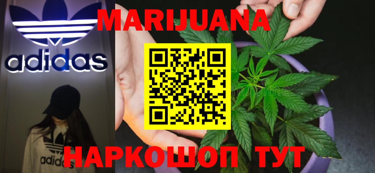 МАРИХУАНА сатива Карасук
